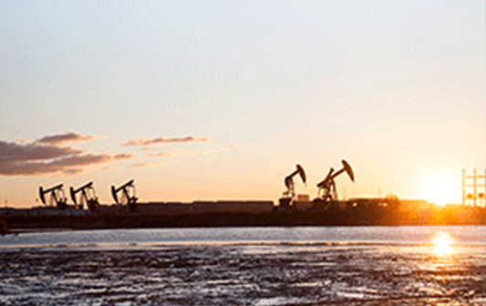 CSE碼頭升級改造工程項(xiàng)目環(huán)境影響評價第二次公示